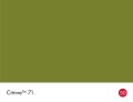 71_Citrine_Swatch_HR.jpg