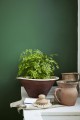 Dark Brunswick Green 88.jpg