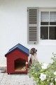 Wood Ash 229 Lead Colour 117 Drummond 16 Deep Space Blue 207.jpg