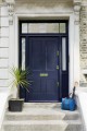Dock Blue 252.jpg