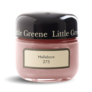 275 Hellebore_500px.png