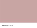 275_Hellebore_Swatch_HR.jpg