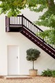Hollyhock 25, Cordoba 277.jpg