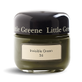 56 Invisible Green_500px.png