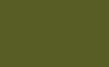 Jewel Beetle 303.jpg