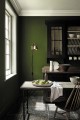 Jewel Beetle 303.jpg