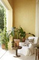 Light Gold 53.jpg