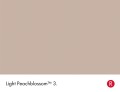 3_Light Peachblossom_Swatch_HR.jpg