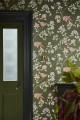02 - LG NTIV Aderyn - Olive Colour.jpg