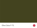 72_Olive Colour_Swatch_HR.jpg