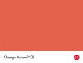 21_Orange Aurora_Swatch_HR.jpg