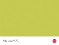 70_Pale Lime_Swatch_HR.jpg