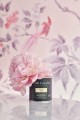 Paradise - Pink.jpg