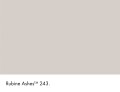 243_Rubine Ashes_Swatch_HR.jpg