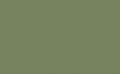 Sage Green 80.jpg