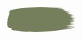 Sage Green™ 80.jpg