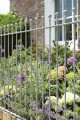 Lead Colour 117 - Railings.jpg