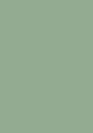 Pigeon 25.jpg