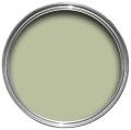Cooking Apple Green 32 .jpg
