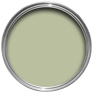 Cooking Apple Green 32 .jpg