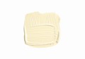 Tallow No.203_Brush Swatch.jpg