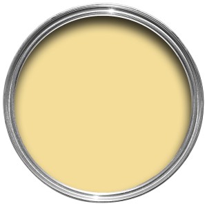 Dayroom Yellow 233 .jpg