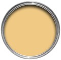 Yellow Ground 218 .jpg