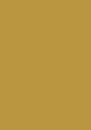 India Yellow 66.jpg