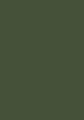 Reduced Green 313.jpg