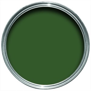 Paint Tin Swatch - Duck Green No.W55.jpg