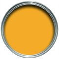 Paint Tin Swatch - Dutch Orange No.W76.jpg