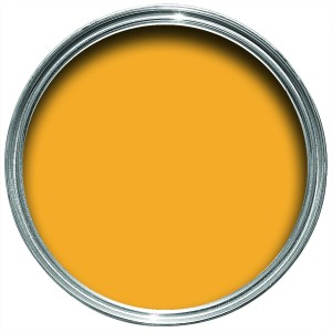 Paint Tin Swatch - Dutch Orange No.W76.jpg