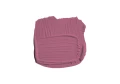 Fruit Fool No.9911_Brush Swatch.jpg